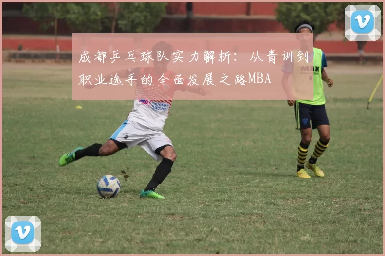 成都乒乓球队实力解析：从青训到职业选手的全面发展之路MBA