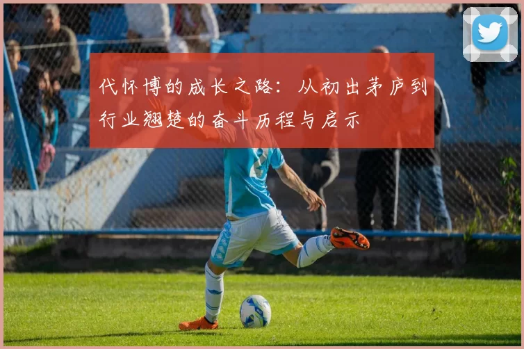 代怀博的成长之路：从初出茅庐到行业翘楚的奋斗历程与启示