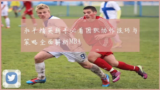 和平精英新手必看团队协作技巧与策略全面解析MBA