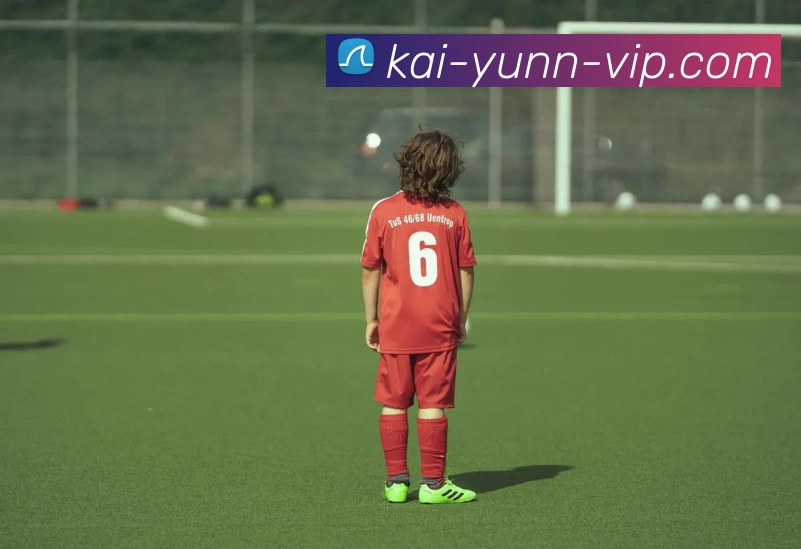 开云kaiyunAPP 体育赛事宣传图